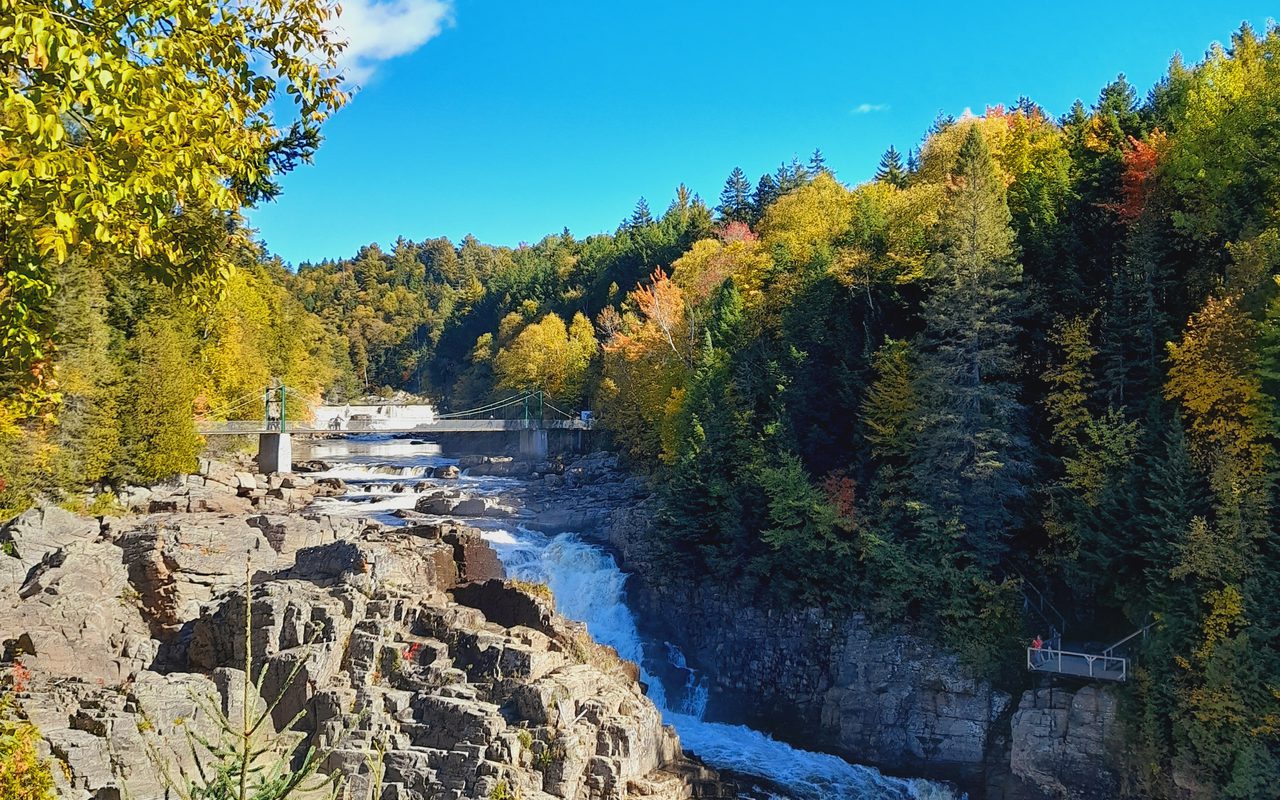 Imagick optimisé q82