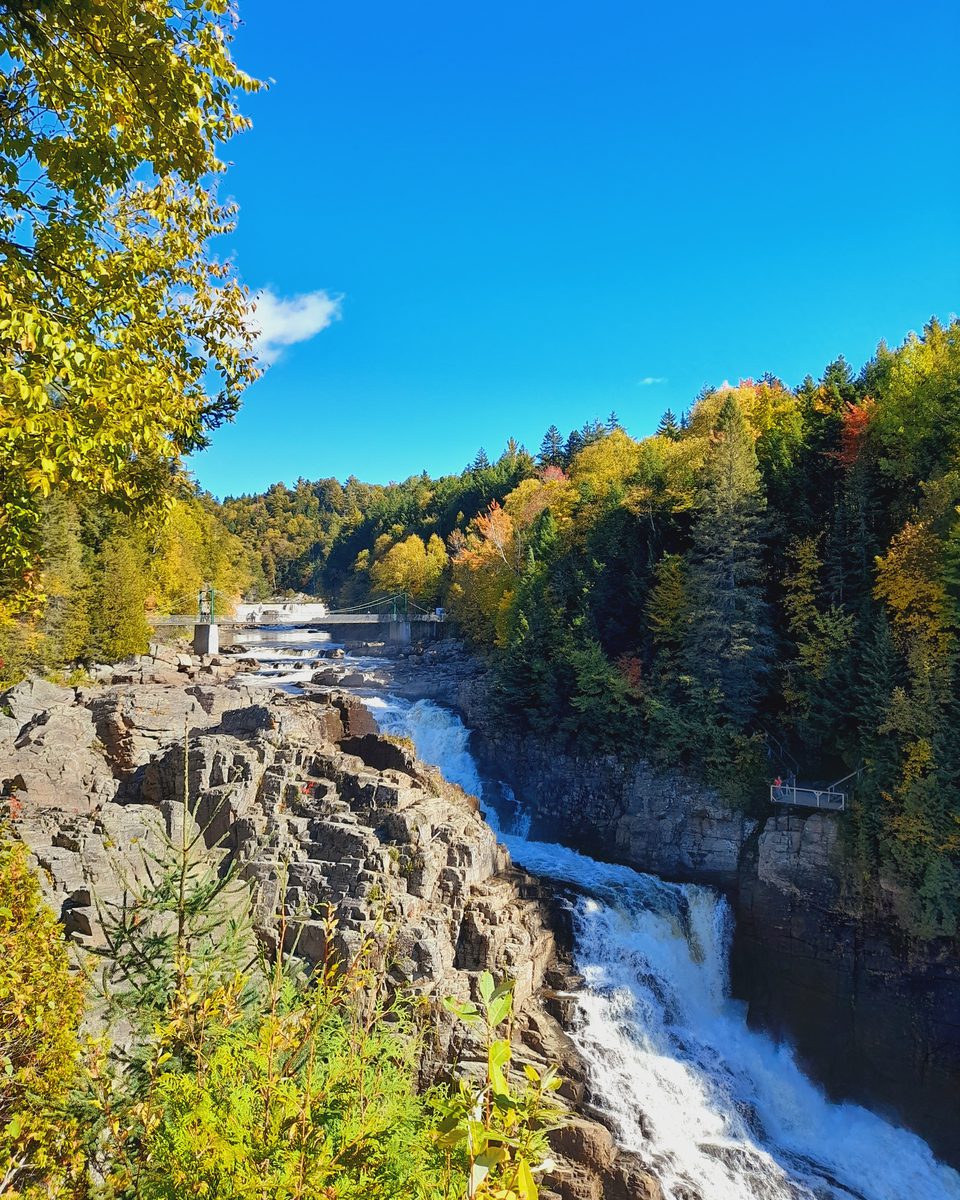 Imagick optimisé q82