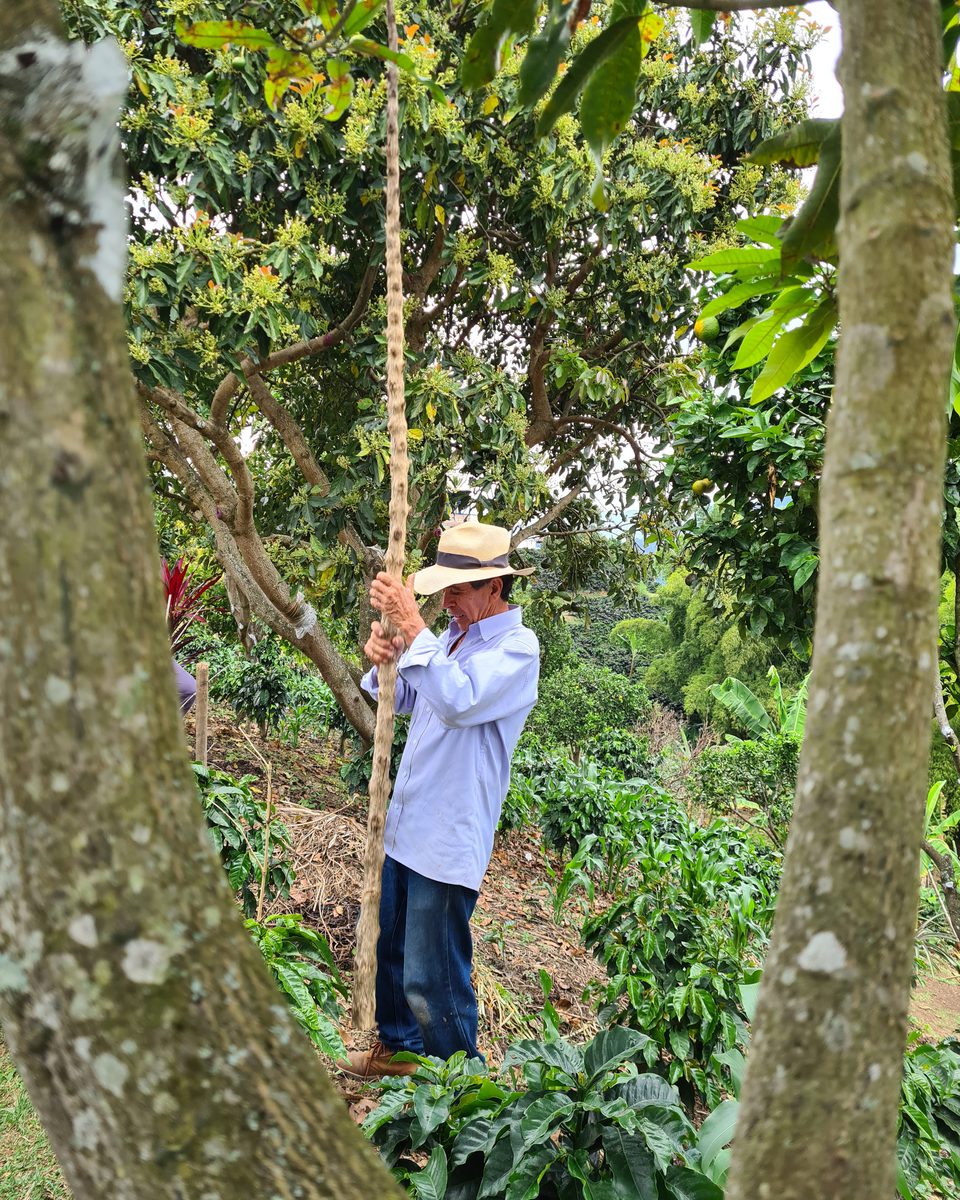 Imagick optimisé q82