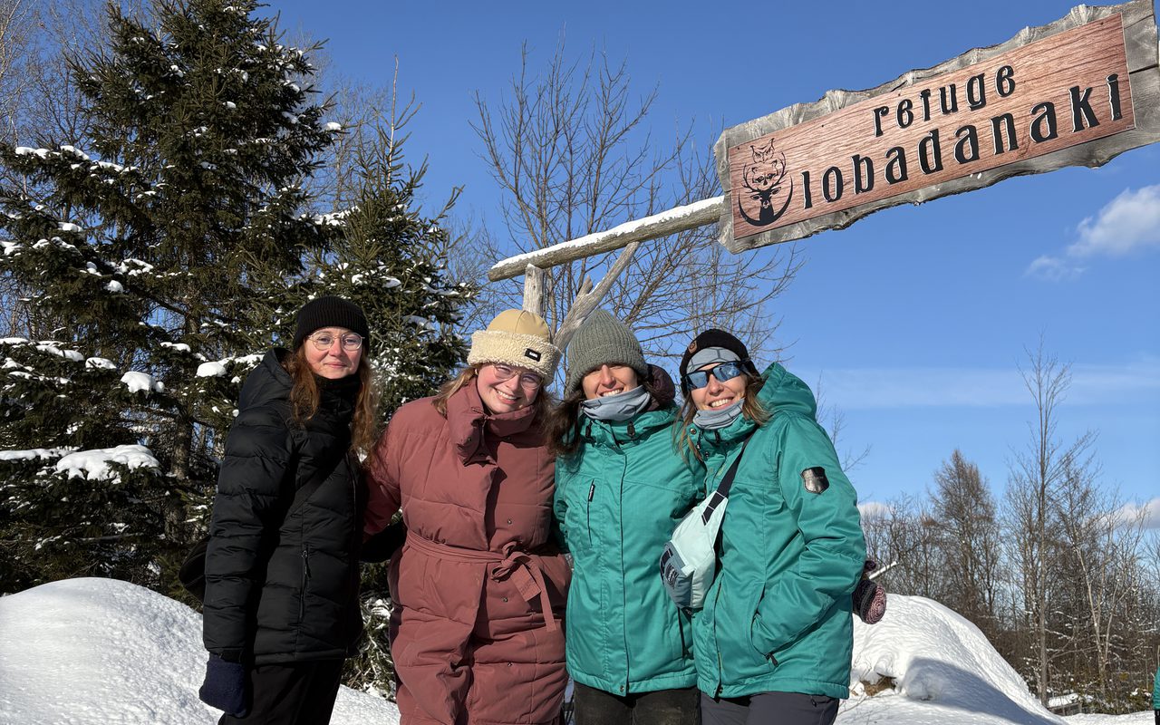 Imagick optimisé q82